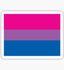 Bisexual Pride Flag Sticker