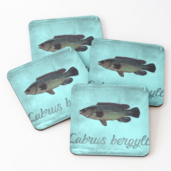 Item preview, Ballan Wrasse T-shirt designed and sold by markflynnart.