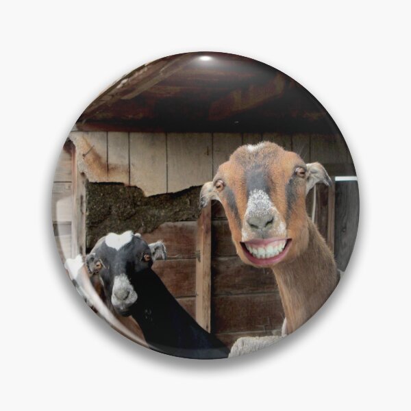 Item preview, funny goat smile  designed and sold by Stephanie  Skeem.