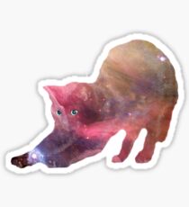 Galactic Cat Scratch Sticker