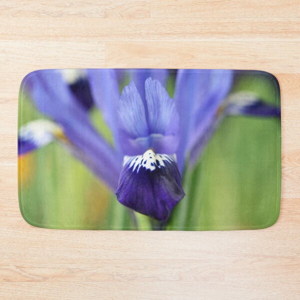 Item preview, Iris  'Fabiola'  Reticulata   designed and sold by Chris Burrows.