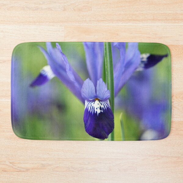 Item preview, Iris 'Fabiola' Reticulata designed and sold by Chris Burrows.