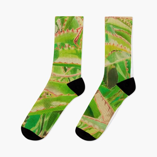 Item preview, Áloe designed and sold by Angelica Ruiz.