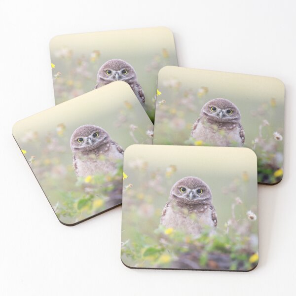 Item preview, Little One designed and sold by mlorenz.