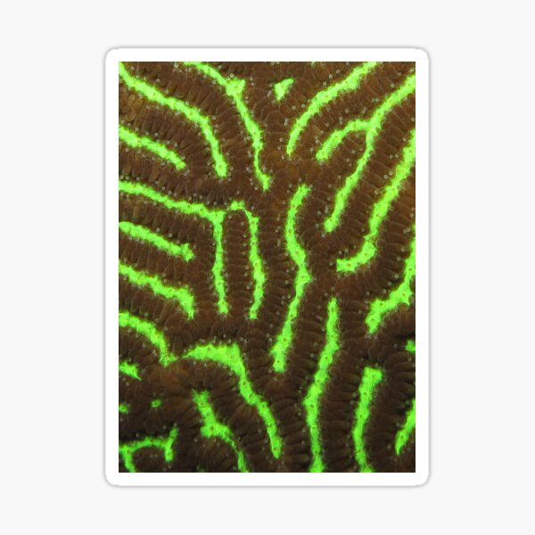 Green Favid Sticker