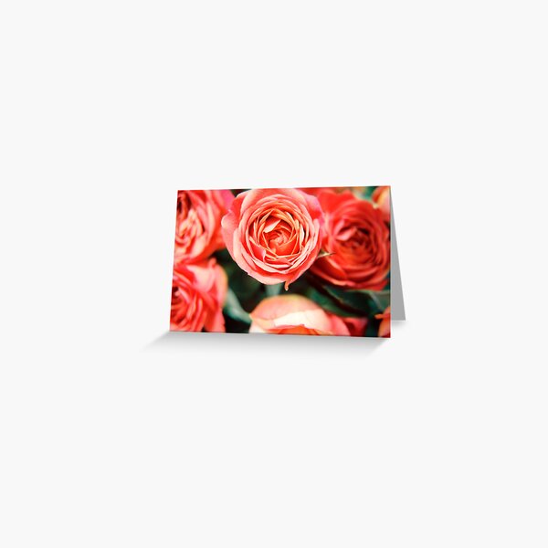 Rose Bouquet Greeting Card