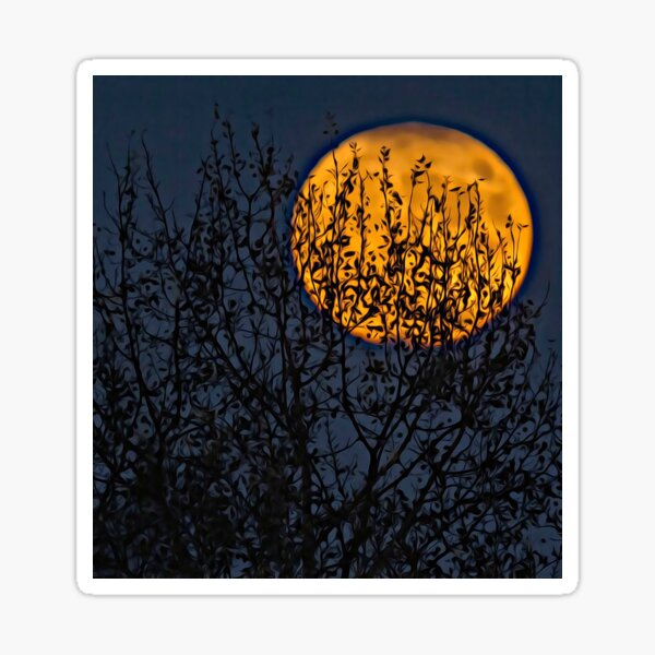 Item preview, Harvest Moon Shirt designed and sold by Christopher Taylor.