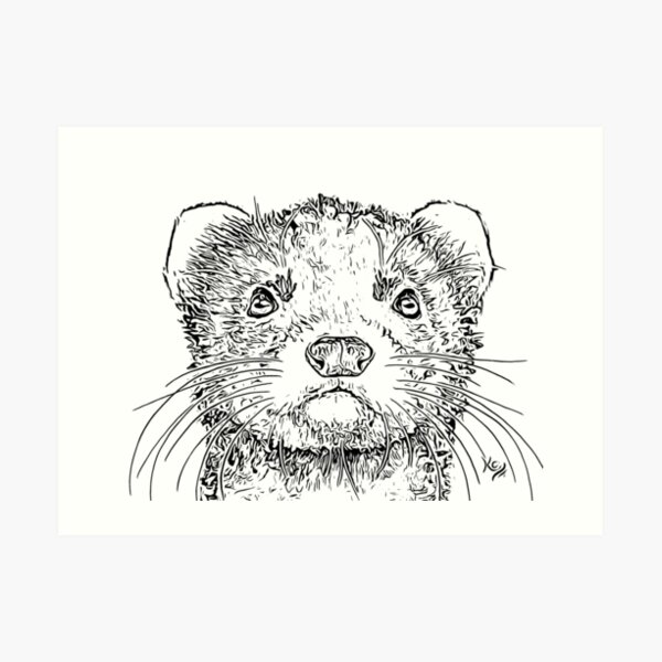 Black and White Ferret Art Print