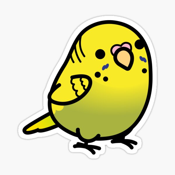 Item preview, Chubby Gray-green Opaline Budgie - Female designed and sold by birdhism.