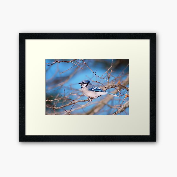 Say Peanuts Framed Art Print