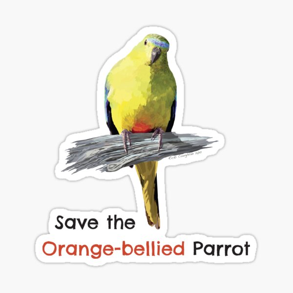 Orange-bellied Parrot sticker Sticker