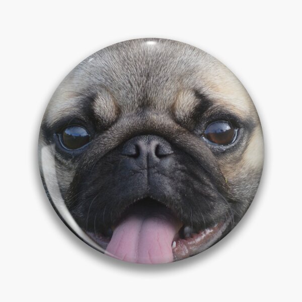 Item preview, Just too cute- baby pug designed and sold by lizdomett.
