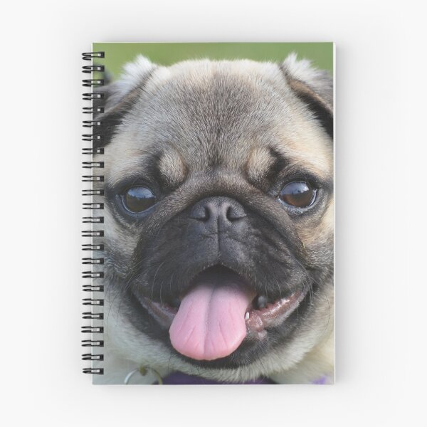 Item preview, Just too cute- baby pug designed and sold by lizdomett.
