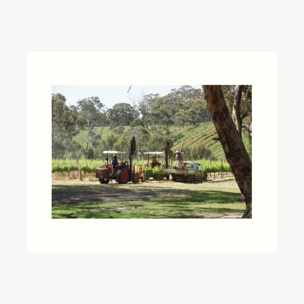 Item preview, Ramming posts on the Vineyard - by South Australian artist Avril Thomas designed and sold by MagpieSprings.