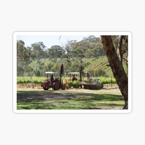 Item preview, Ramming posts on the Vineyard - by South Australian artist Avril Thomas designed and sold by MagpieSprings.