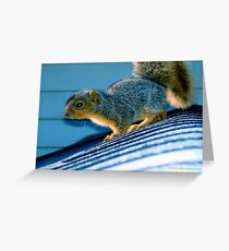 Chippie Rehabilitated Greeting Card