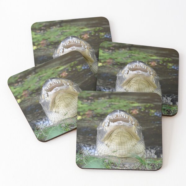 Item preview, American Alligator at the National Zoo designed and sold by Zoo and Nature Photography by Karie.