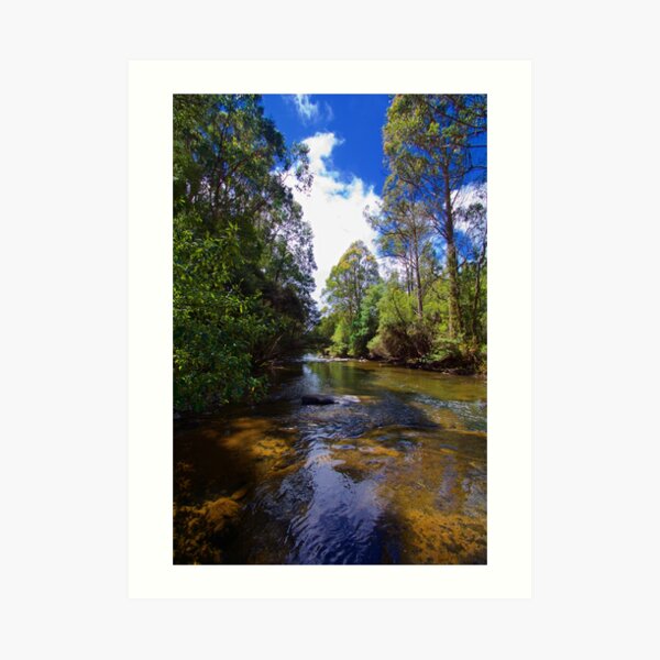 SCENES & SCENERY ~ Tyenna River Art Print