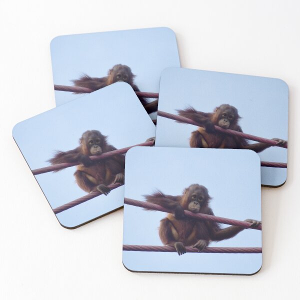 Item preview, Bornean Orangutan Redd at the National Zoo designed and sold by Zoo and Nature Photography by Karie.