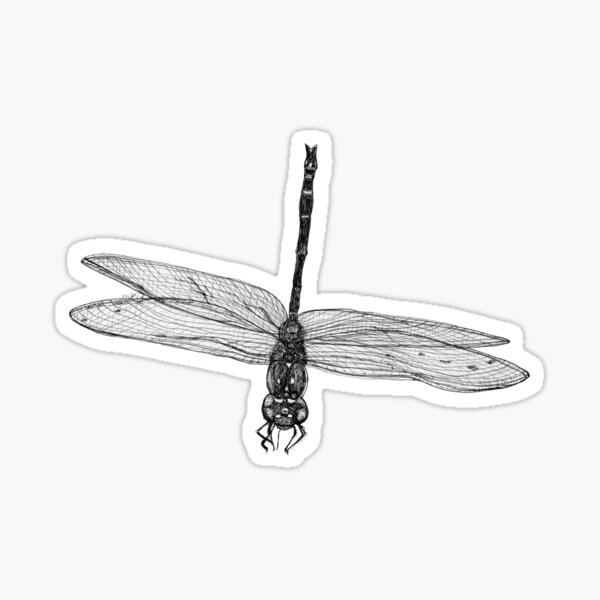 Marie the Dragonfly Sticker