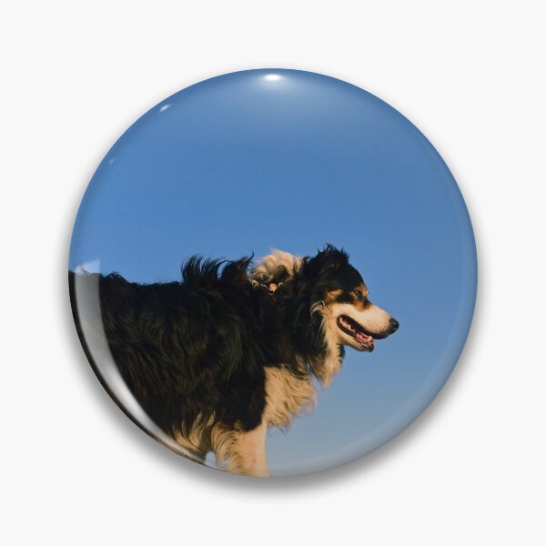 Item preview, A Dog's Journey.  designed and sold by Michael Haslam.