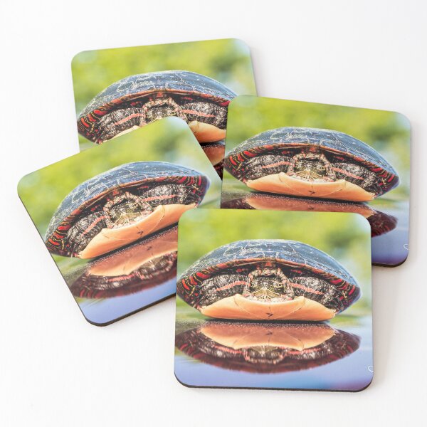 Item preview, Reflecting  designed and sold by KennyBImages899.