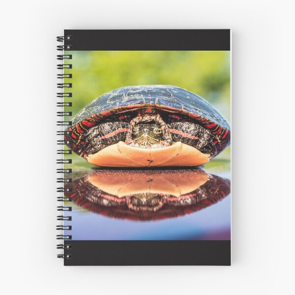 Item preview, Reflecting  designed and sold by KennyBImages899.