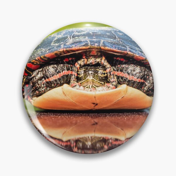 Item preview, Reflecting  designed and sold by KennyBImages899.