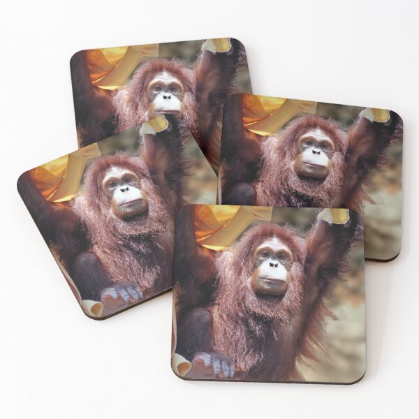 Item preview, Orangutan designed and sold by Savannah Gibbs.