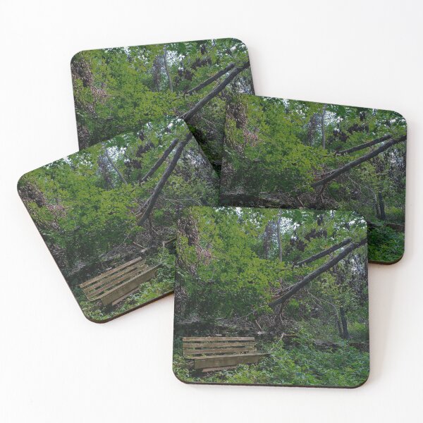 Item preview, Abandoned Bench overtaken by Nature designed and sold by Candace Offman.