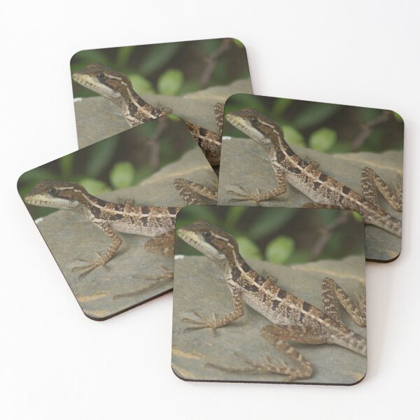 Item preview, Belizian Lizard designed and sold by billiebowler.