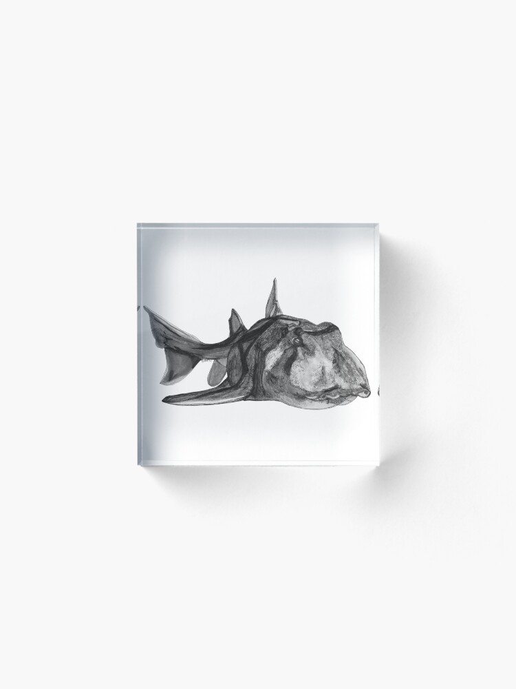 Alternate view of Jack the Port Jackson Shark Acrylic Block