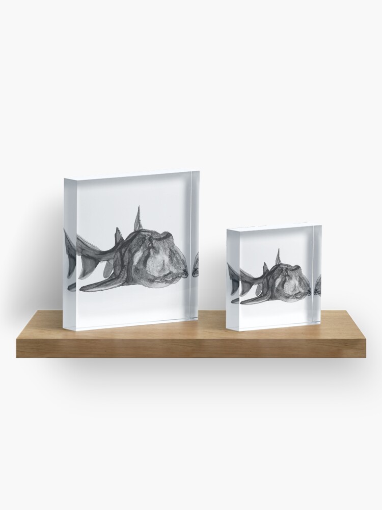 Alternate view of Jack the Port Jackson Shark Acrylic Block