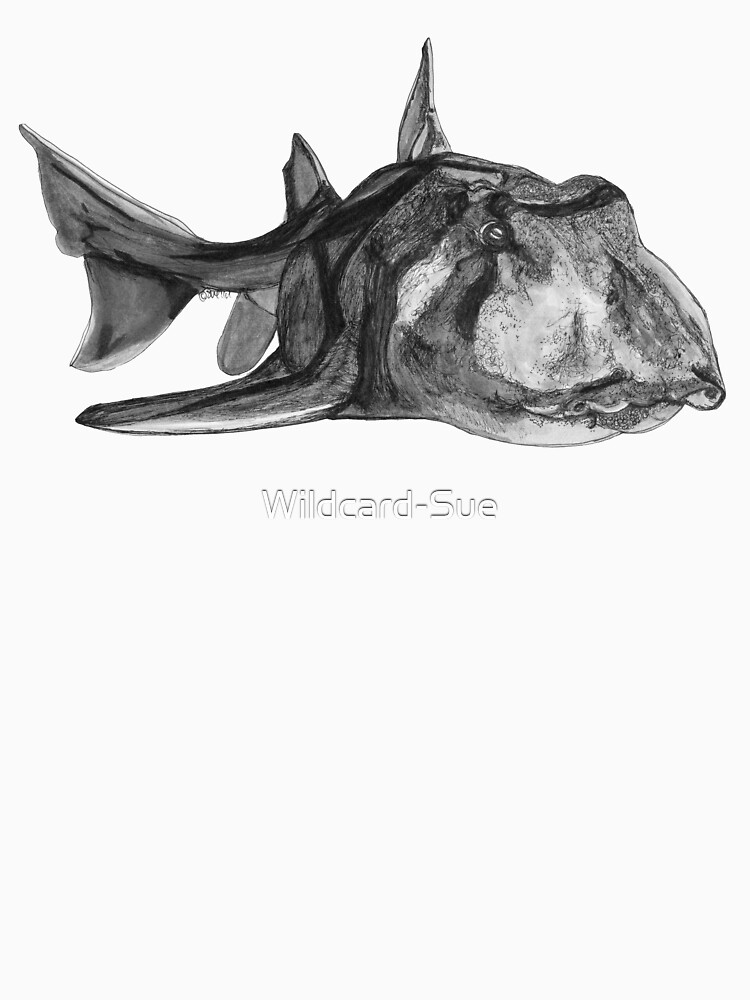 Jack the Port Jackson Shark by Wildcard-Sue