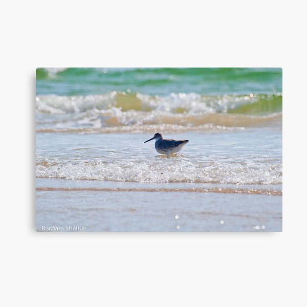Splashing in the Sea Canvas Print