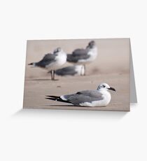 Guard Gull Greeting Card
