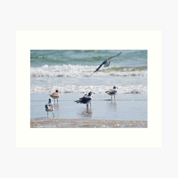 Preparing for Take-Off Art Print