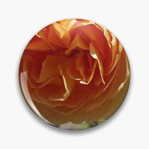 Item preview, Beautiful Coral Rose designed and sold by DonnaHancock.