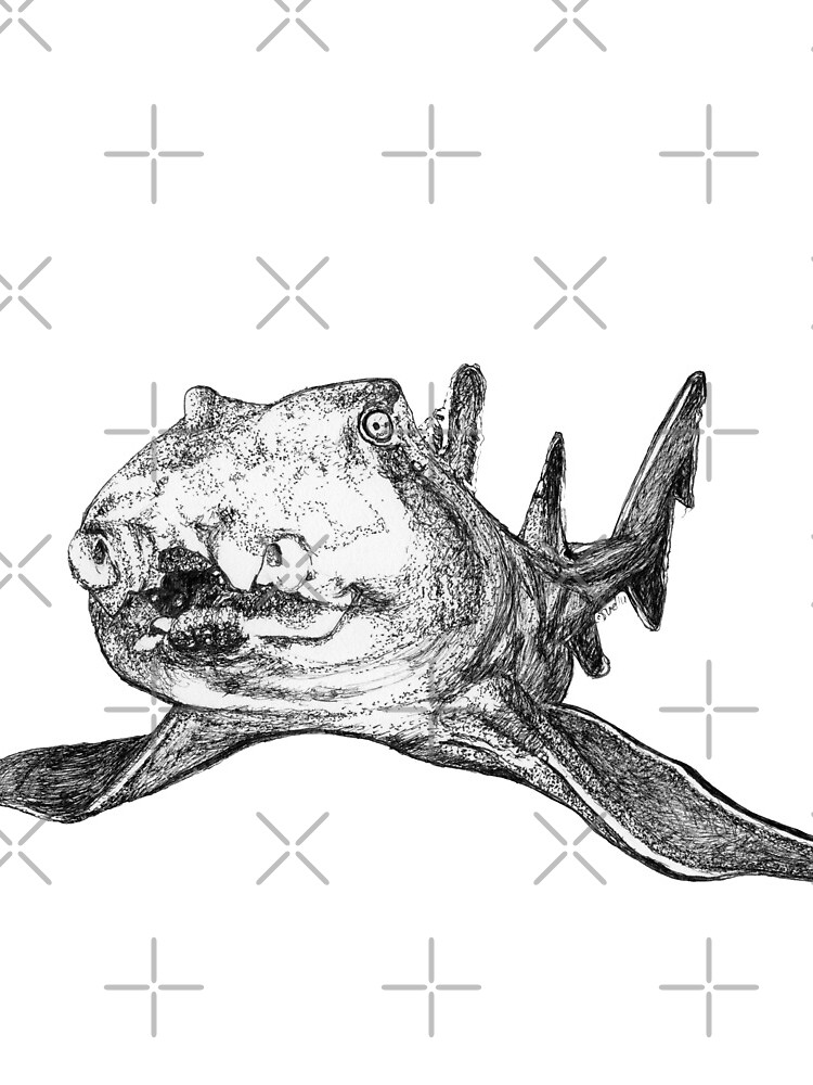Gracie the Port Jackson Shark by Wildcard-Sue
