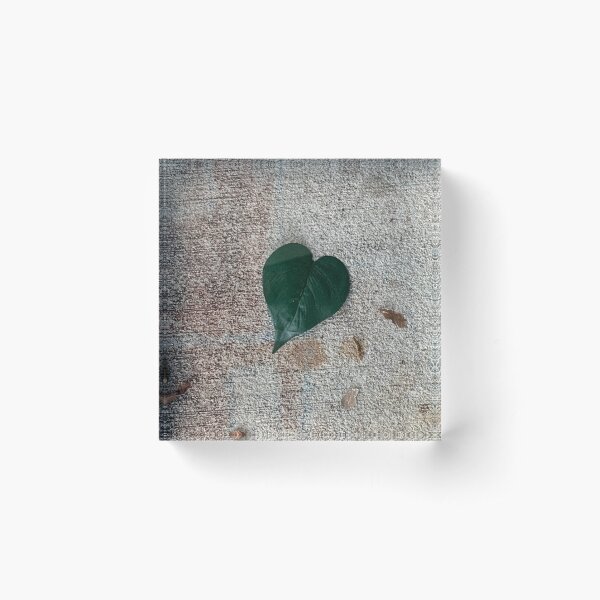 Item preview, Leaf Heart designed and sold by Kamiabby2471.