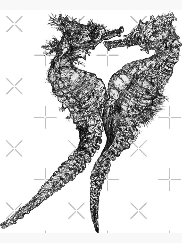 Chris and Gladis - Seahorses in love by Wildcard-Sue