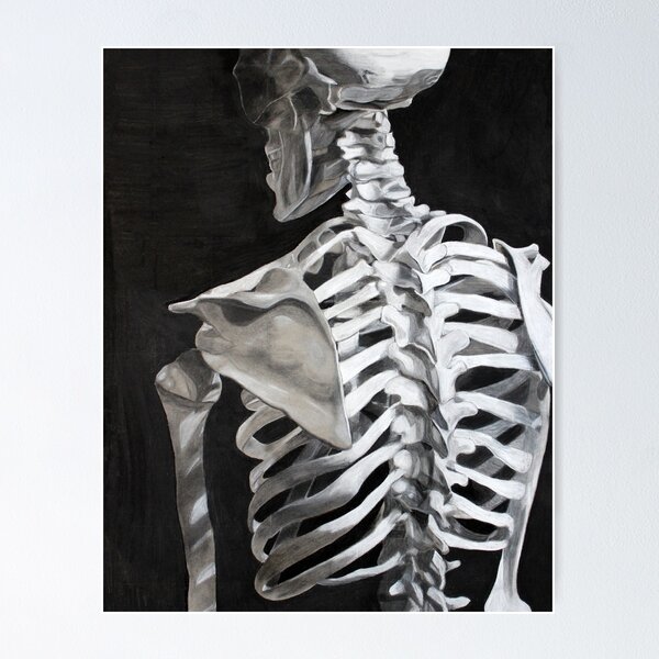 Item preview, Skeleton's Spine designed and sold by keeganspurrart.