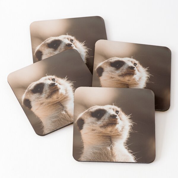 Item preview, Curious Meerkat designed and sold by cahmontemor.