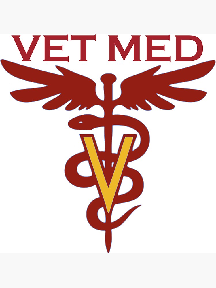 "Veterinary Medicine" Magnet by skegeebeast | Redbubble