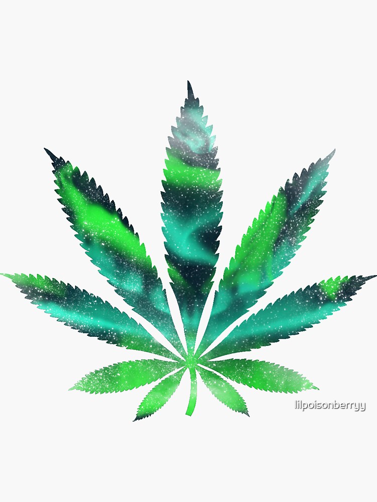 Northern Lights by lilpoisonberryy