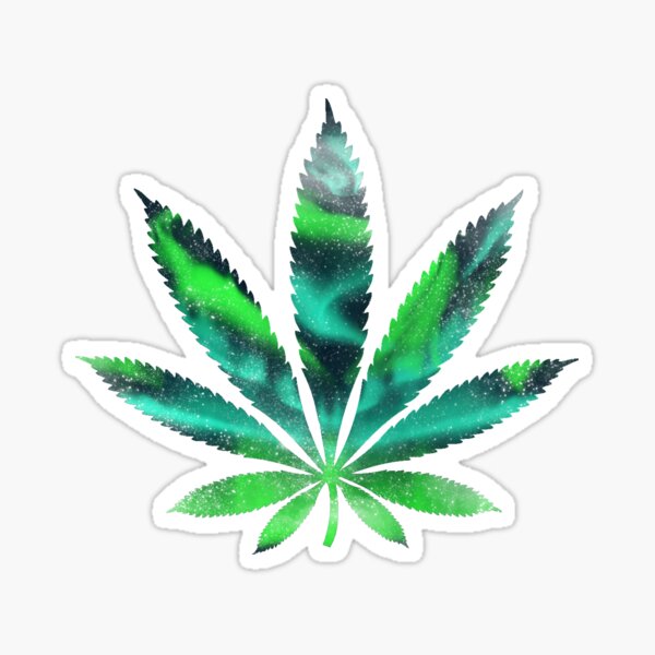 Green Weed Leaf Sticker Transparent 420 Hemp Cannabis Skateboard Laptop PC ...