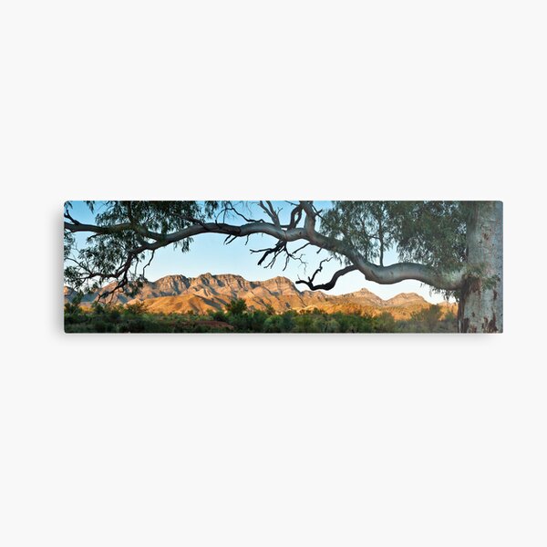 Item preview, Arboreal Embrace designed and sold by Robert Dettman.
