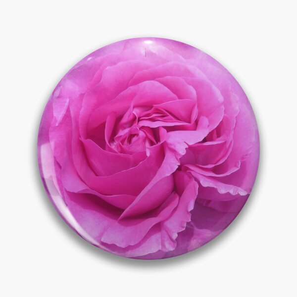 Item preview, Pink rose in sunshine :) designed and sold by LittleBettyMakes.