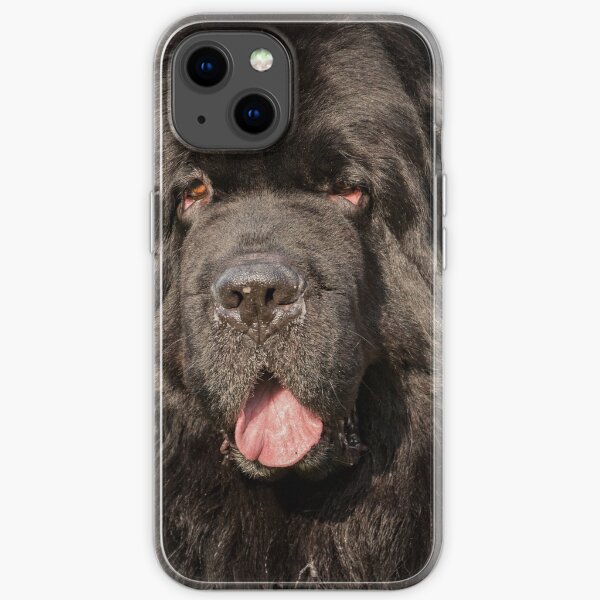 Newfoundland Dog iPhone Soft Case