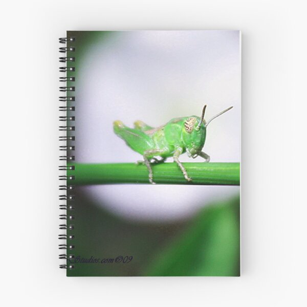 Item preview, Grass Hopper designed and sold by Katagram.